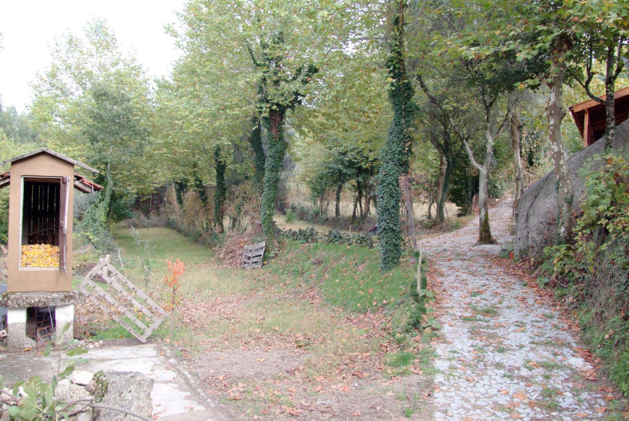 ヴィエイラ・ド・ミーニョ Quinta Da Veiga E Malhadoiraゲストハウス エクステリア 写真